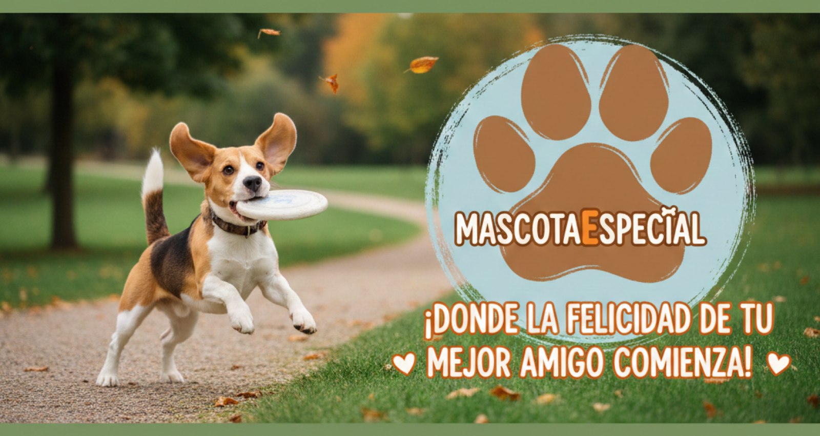 image_8hzaw28hzaw28hza